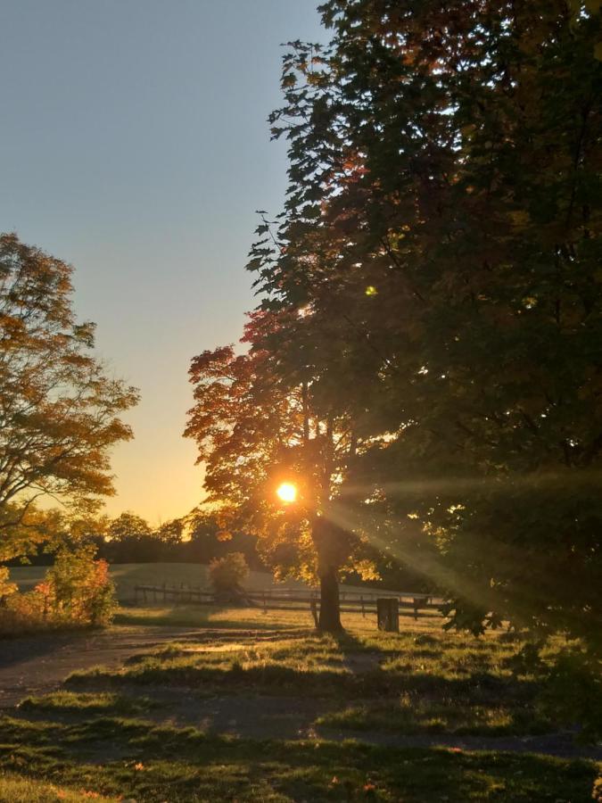 Ferienhaus Harzer Bauernhof Thale Bagian luar foto