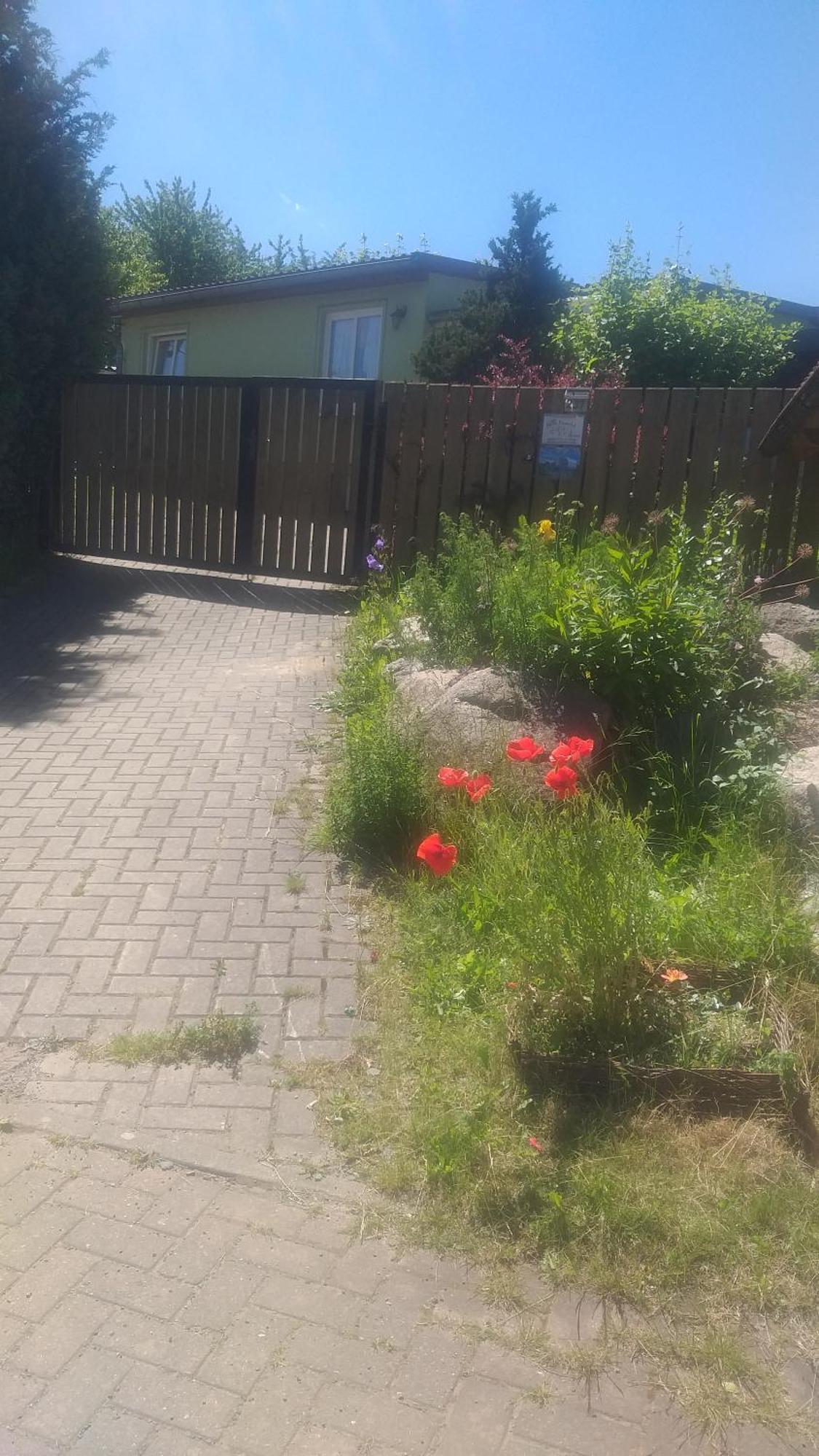 Ferienhaus Harzer Bauernhof Thale Bagian luar foto